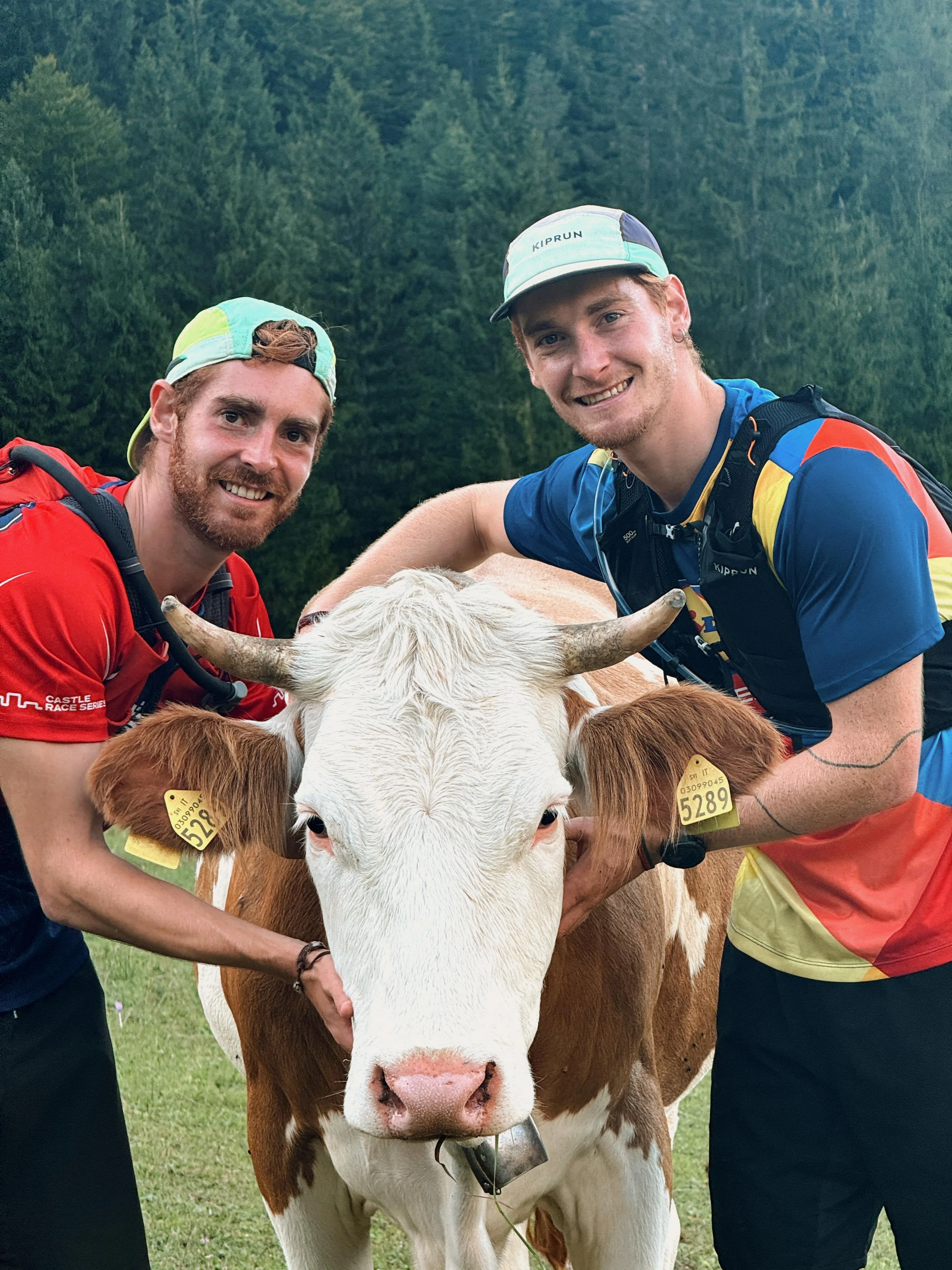 Bram en Tuur met een koe tijdens de trailrun-vakantie in Italië/Slovenië